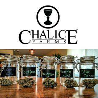 Specialty Gummies Trop Pineapple- THC CBD Bonanza Cannabis Company