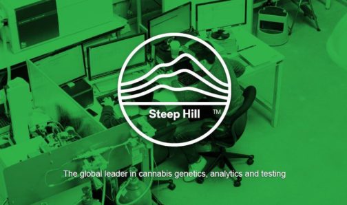 photo of Former CEO Sues Steep Hill and Investors and Seeks to Block Cannabis Testing Lab Sale to EVIO image