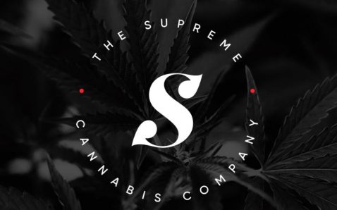 photo of Supreme Cannabis Revenue Dips to $9.1 Million in Q2 image
