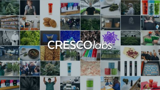 photo of Cresco Increases Q1 Revenue Sequentially to $29.9 Million image