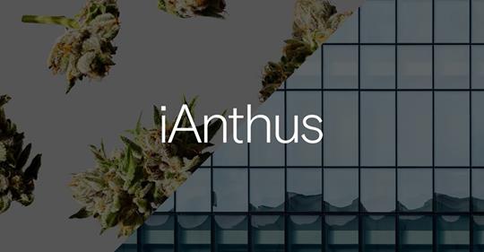 photo of iAnthus Q2 Revenue Increases 2% Sequentially to $43.5 Million image