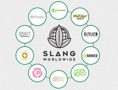 Slang Worldwide Accelerates Expiration of 9.1 million $1.15 Warrants – New  Cannabis Ventures