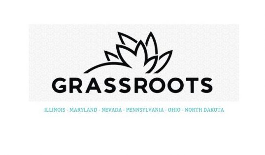 Curaleaf To Buy Grassroots For 875 Million In Stock Primarily New Cannabis Ventures