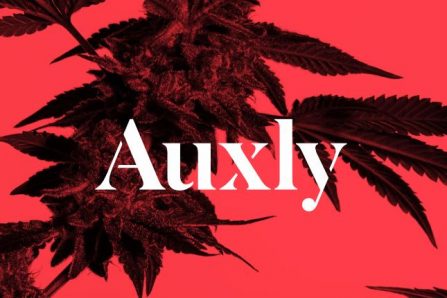 photo of Auxly to Chop Conversion Price on $100 Million in Debt to C$0.74 image