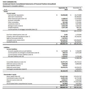 VIVO Cannabis – Company Financials – Balance Sheet – Cash Flow – Income ...