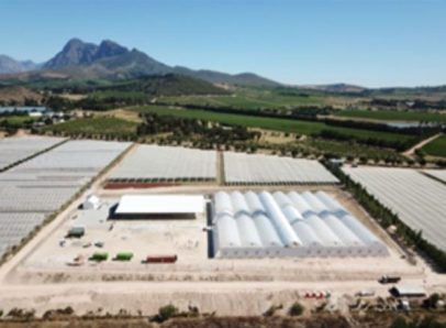 photo of MPX International Completes Definitive Agreements for Cannabis Joint Venture in South Africa image