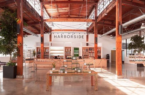 Harborside Inc., Leading California Retailer, Announces New California Store Openings in San Francisco and La Mesa – New Cannabis Ventures - Vimarsana News
