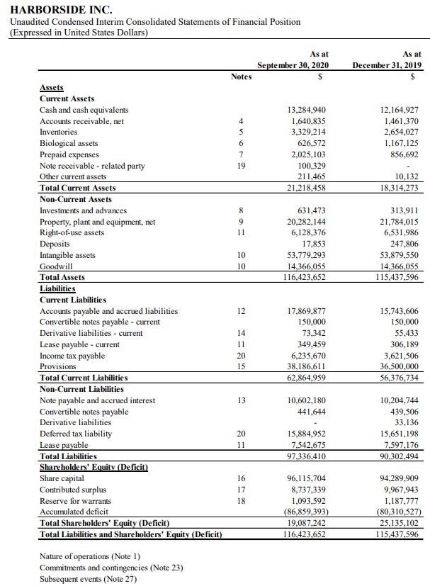 Harborside – Company Financials – Balance Sheet – Cash Flow – Income ...