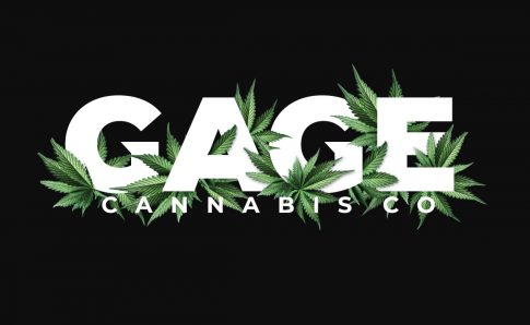 photo of TerrAscend Receives Michigan Pre-Qualification Approval for the Acquisition of Gage Cannabis image