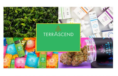 TerrAscend Generates Flat Q4 Revenue Sequentially at $49.1 Million - Vimarsana News