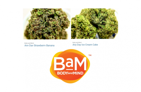 Body and Mind Launches "Any Day" Flower Brand – New Cannabis Ventures - Vimarsana News