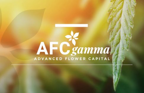 Institutional Mortgage REIT AFC Gamma Commits $82.5 Million for Bloom Medicinals Expansion – New Cannabis Ventures - Vimarsana News
