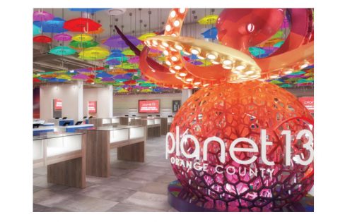 Planet 13 Q4 Revenue Declines 9% Sequentially to $29.9 Million - Vimarsana News