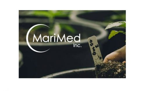 MariMed Boosts Outlook as Q2 Revenue Increases 239% to $32.6 Million - Vimarsana News