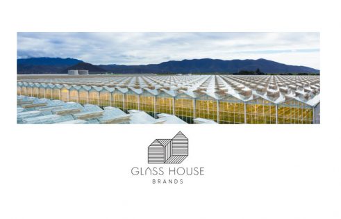 Glass House Q3 Revenue Increases 72% Sequentially to $28.3 Million - Vimarsana News