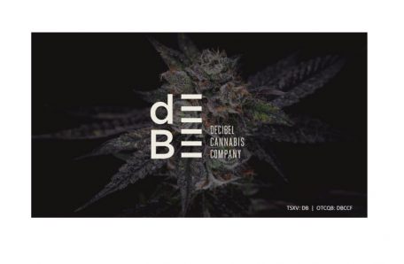 photo of Decibel Cannabis Raises $54 Million Debt Capital from connectFirst Credit Union image