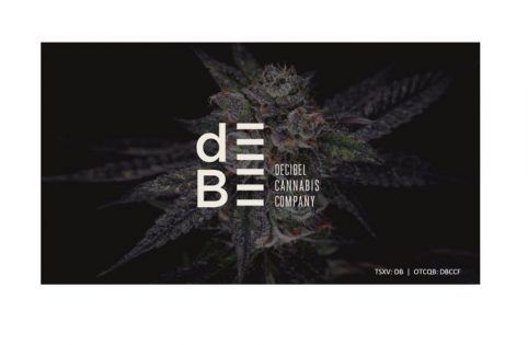 Decibel Q4 Revenue Increases 41% Sequentially to C$25.8 Million - Vimarsana News