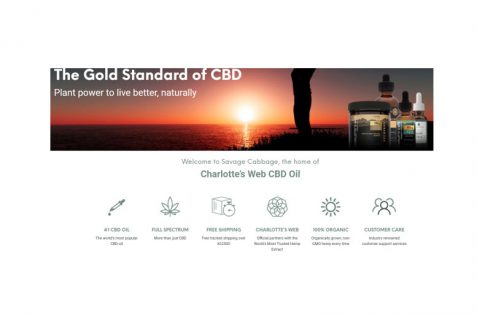 Charlotte's Web Enters UK CBD Market – New Cannabis Ventures - Vimarsana News