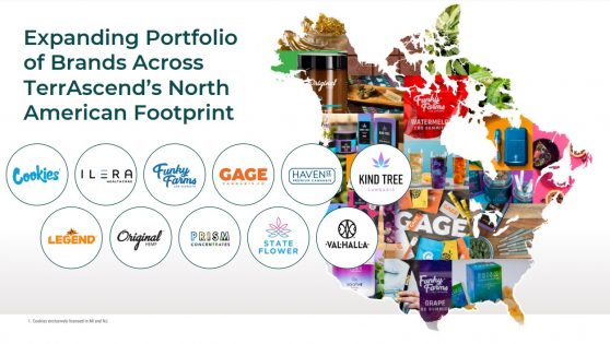 TerrAscend Debuts Cookies And Gage Brands in New Jersey - Vimarsana News