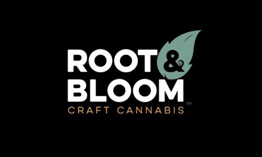 New Massachusetts Cannabis Operator Appoints Tom Regan as CEO - Vimarsana News