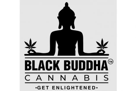 TILT Holdings Launches Social Impact Driven Brand Black Buddha Cannabis in Massachusetts – New Cannabis Ventures - Vimarsana News