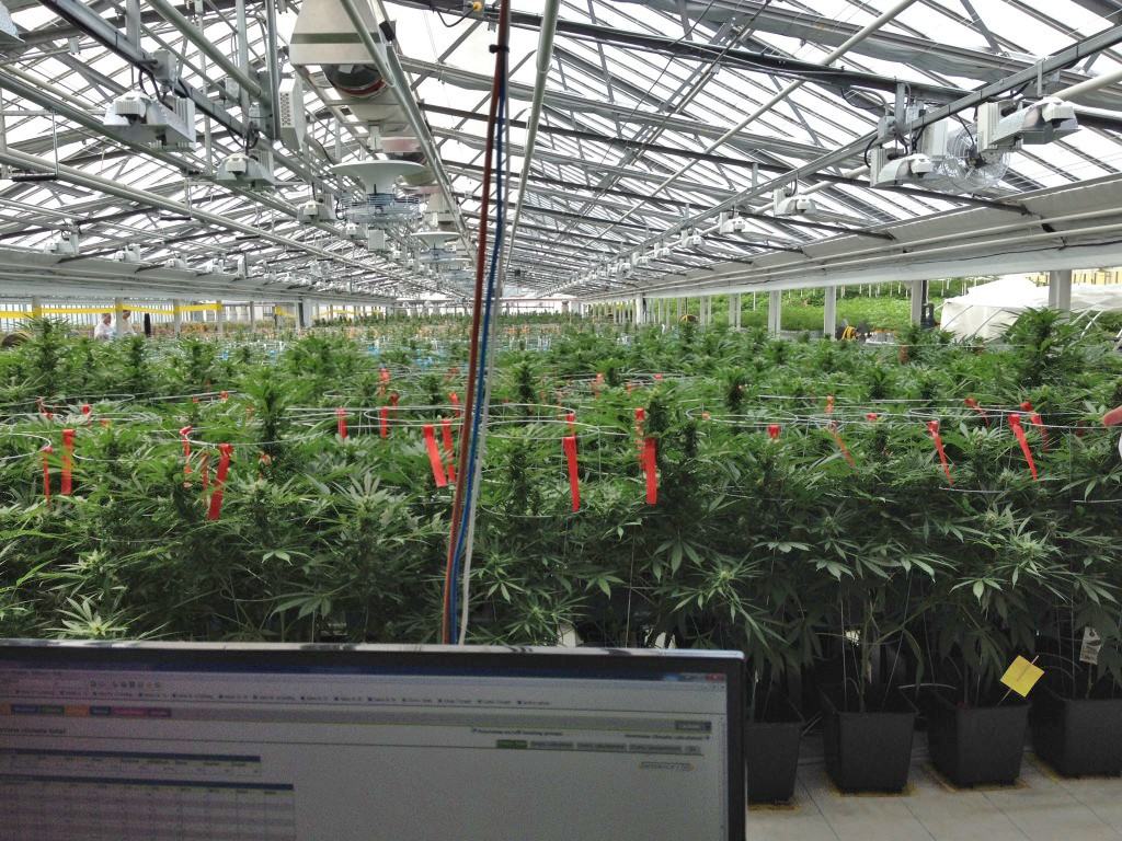 Aphria-Alan-Brochstein-Photo-1024x768