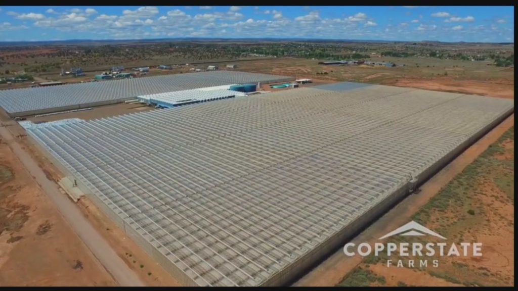 Aphria Partners With 40 Acre Arizona Medical Cannabis Greenhouse Copperstate Farms New Cannabis Ventures