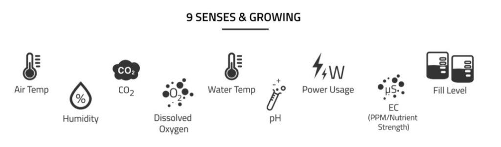 Grownetics 9 senses