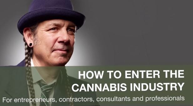 How to Enter the Cannabis Industry Steve DeAngelo