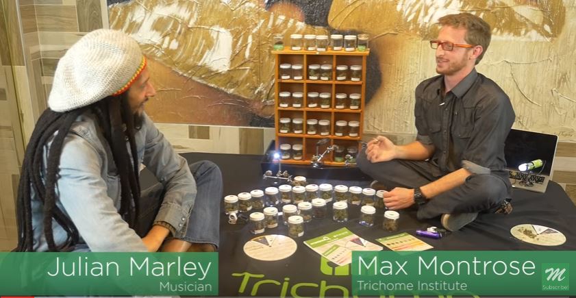 Max Montrose teaching Ziggy Marley how to smell cannabis (courtesy of MassRoots)