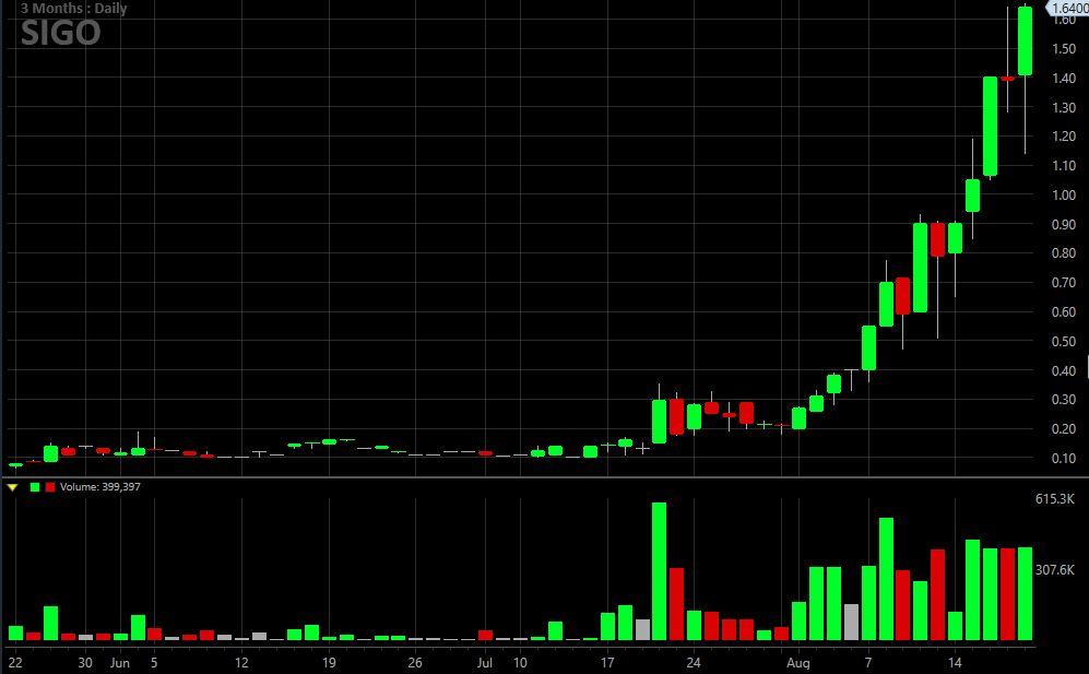 Sigo Stock Chart