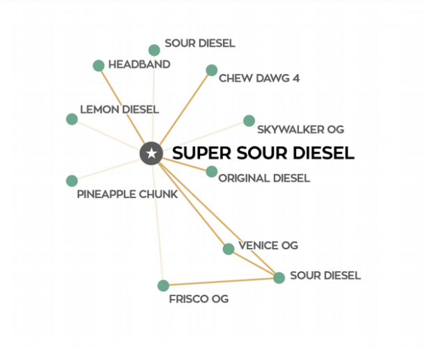 Super Sour Diesel Genomic Lineage