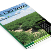 Wyld Strawberry CBD:THC Gummies Gentle Support