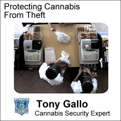 Tony Gallo Sapphire Security CannaInsider