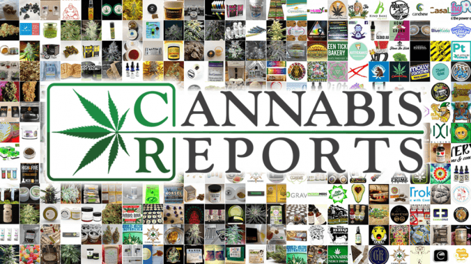 cannabis reports