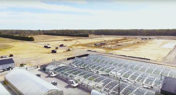 maricann-green-house-expansion