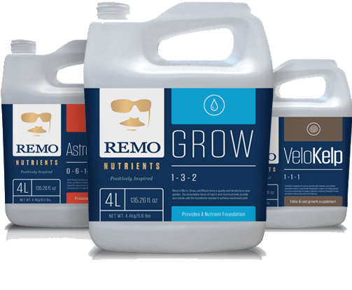 remo-products