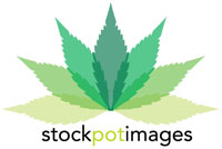 stockpot_logo_sm_color