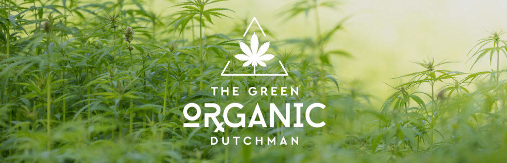 the-green-organic-dutchman-banner-god